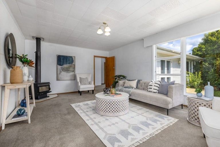 Photo of property in 3 Marlborough Street, Levin, 5510