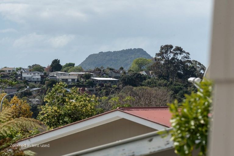 Photo of property in 164a Kingswood Road, Brookfield, Tauranga, 3110