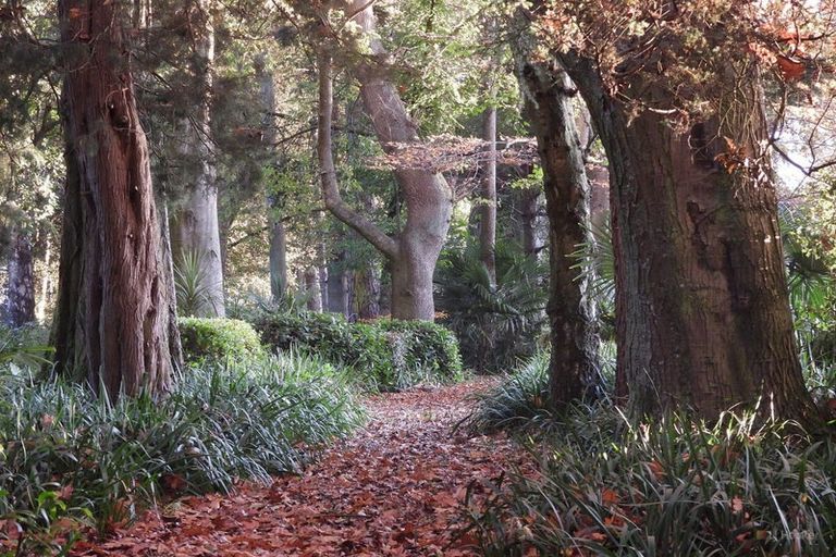 Photo of property in Ashfield, 410 Orari Station Road, Geraldine, 7992