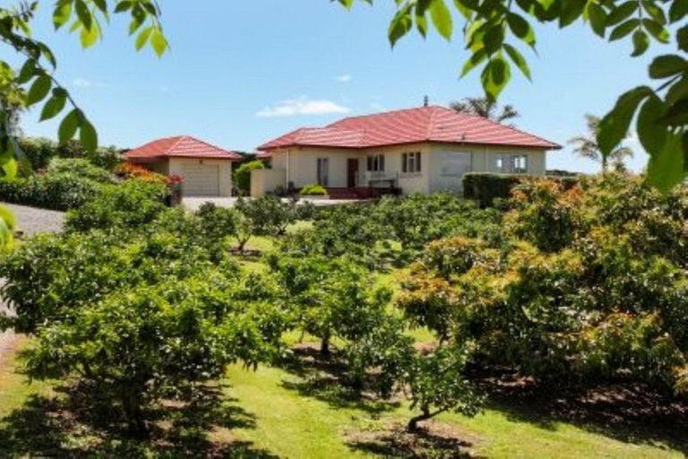 Photo of property in 11b Stokes Road, Tahawai, Katikati, 3170
