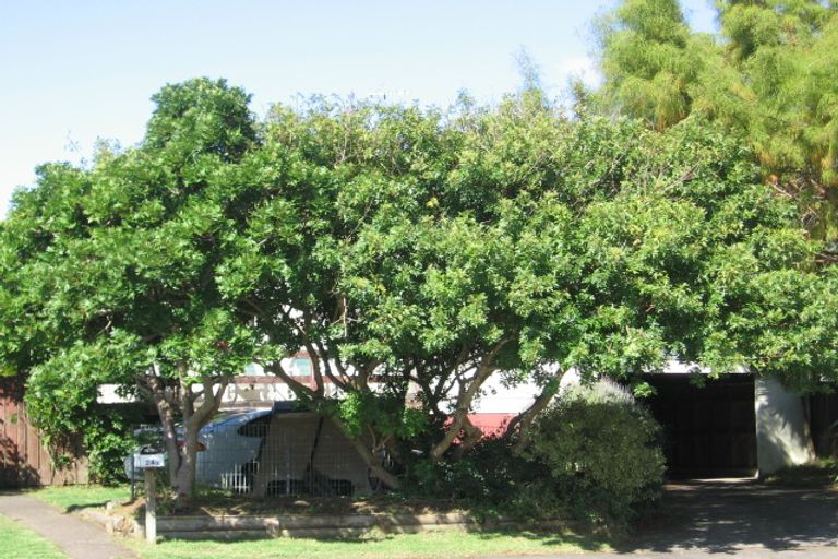 Photo of property in 1/24 Posa Avenue, Henderson, Auckland, 0612