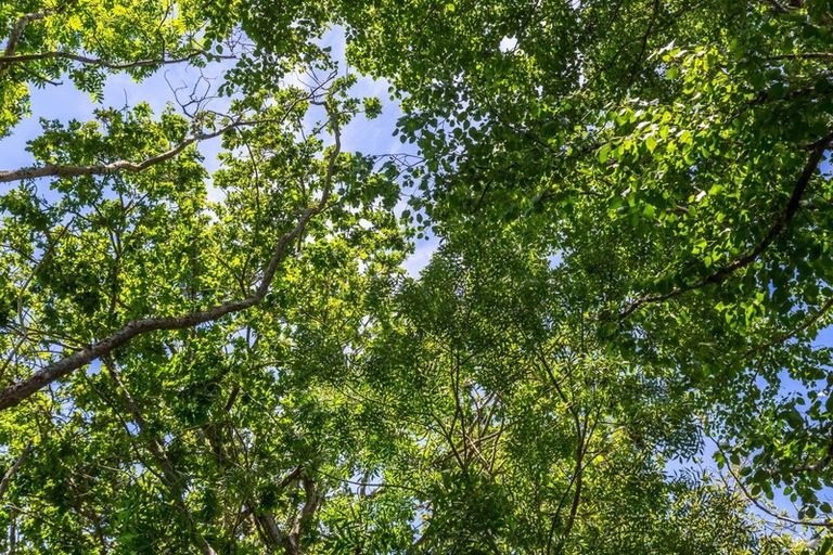 Photo of property in 15 Woodlands Way, Greytown, 5712