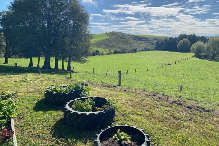Photo of property in 305 Waitetuna Valley Road, Waitetuna, Raglan, 3295