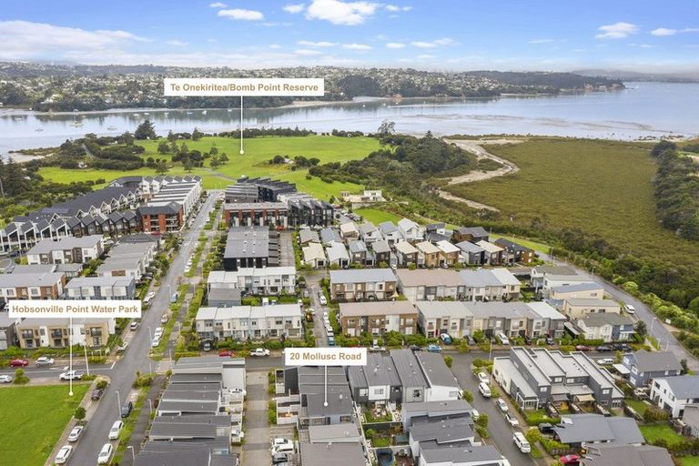 Photo of property in 20 Mollusc Road, Hobsonville, Auckland, 0616