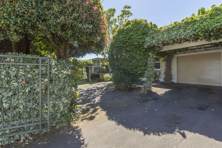 Photo of property in 56 Grange Road, Otumoetai, Tauranga, 3110