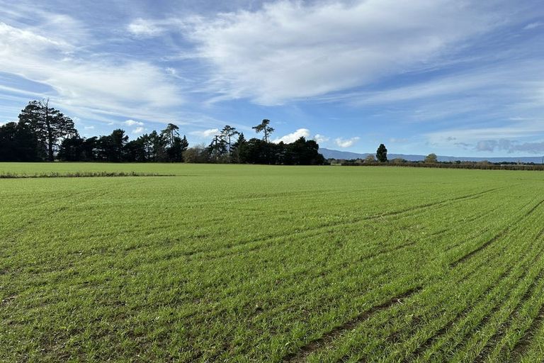 Photo of property in 314 Campbell Road, Richmond Downs, Walton, 3475