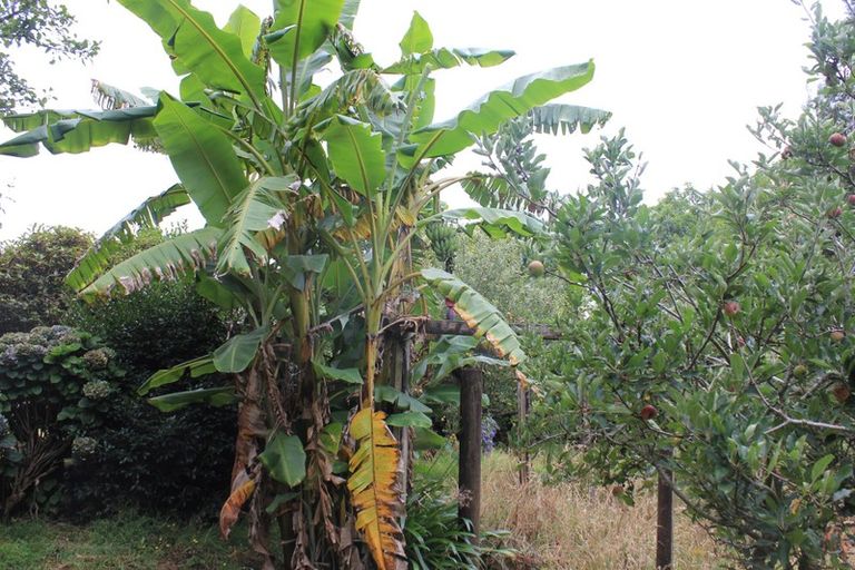 Photo of property in 81a Mcmillan Road, Tahawai, Katikati, 3170