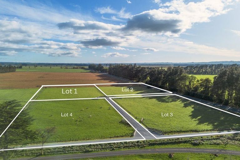 Photo of property in 1/1312 State Highway 50, Ongaonga, 4278