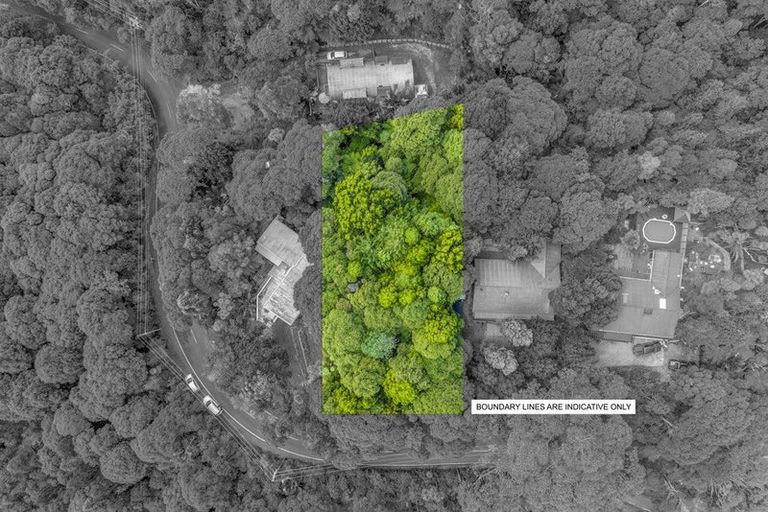 Photo of property in 82 Mountain Road, Henderson Valley, Auckland, 0612