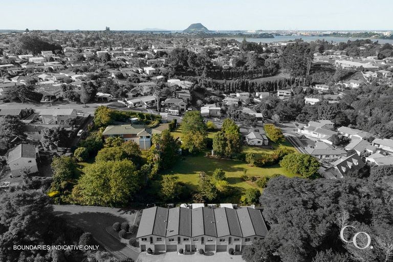 Photo of property in 47 Bell Street, Judea, Tauranga, 3110