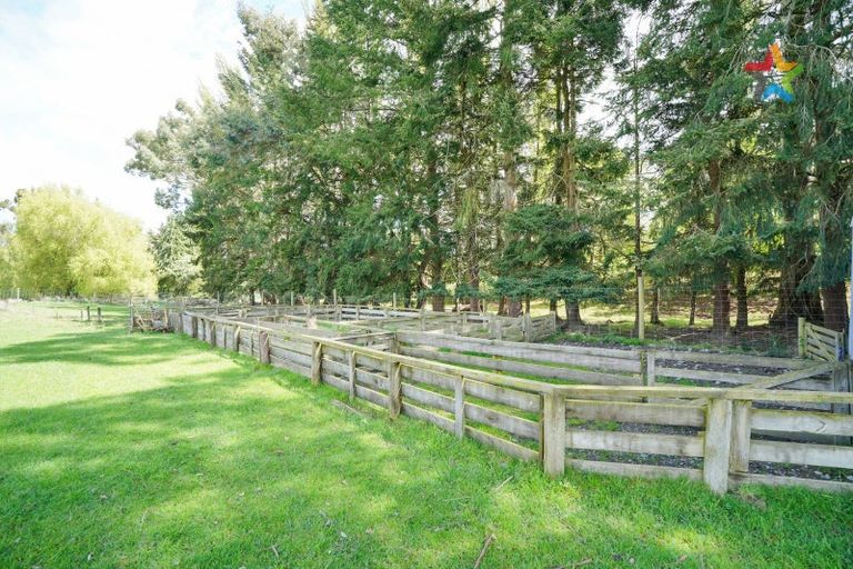 Photo of property in 72 Bush Street, Lumsden, 9730