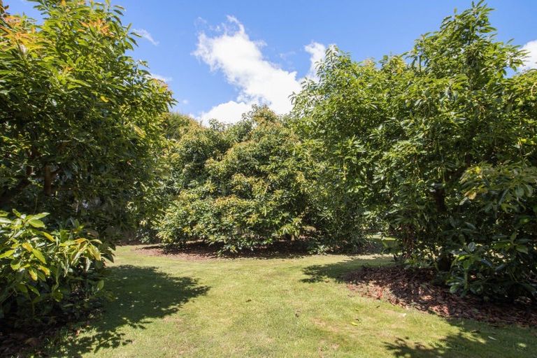 Photo of property in 134 Matahui Road, Aongatete, Katikati, 3181