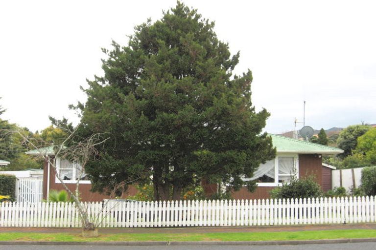 Photo of property in 105 Abingdon Place, Thames, 3500