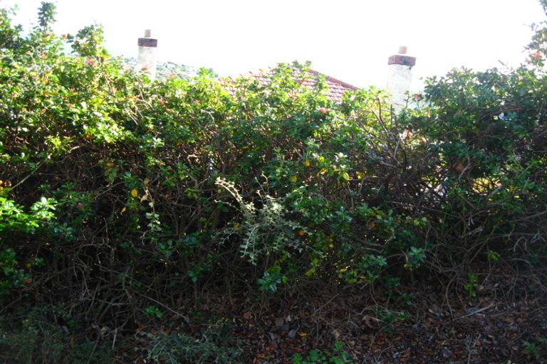 Photo of property in 31 Maybank Street, North East Valley, Dunedin, 9010