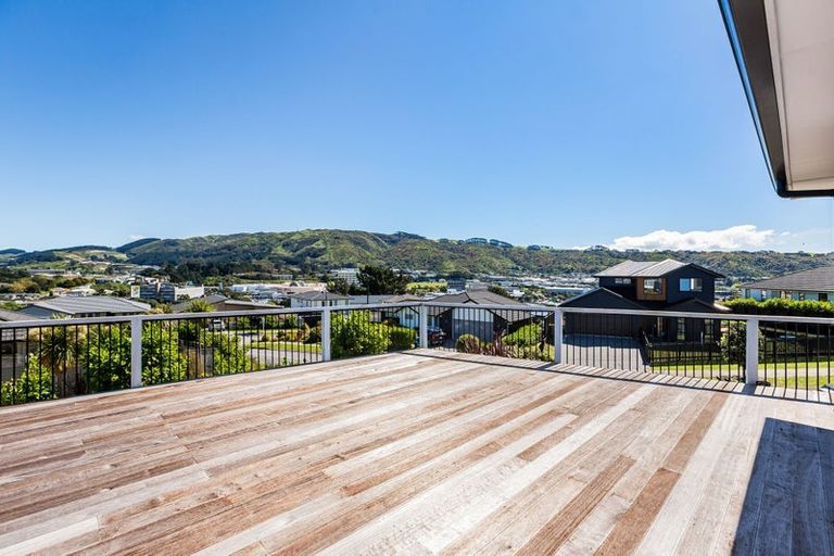 Photo of property in 117 John Burke Drive, Aotea, Porirua, 5024