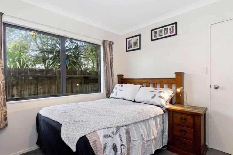 Photo of property in 49 Solomon Street, Brookfield, Tauranga, 3110