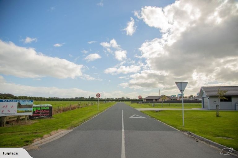 Photo of property in 8 Tui Place, Edendale, Wyndham, 9893