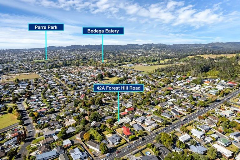 Photo of property in 42a Forest Hill Road, Henderson, Auckland, 0612