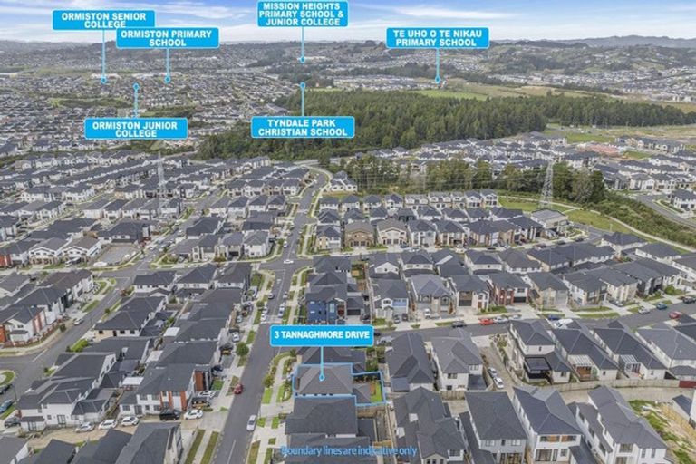 Photo of property in 3 Tannaghmore Drive, Flat Bush, Auckland, 2019