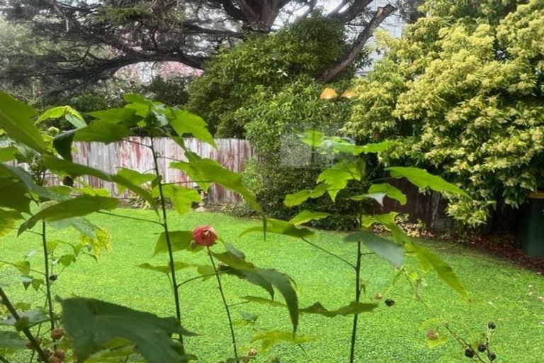 Photo of property in 8a Copeland Street, Hutt Central, Lower Hutt, 5011