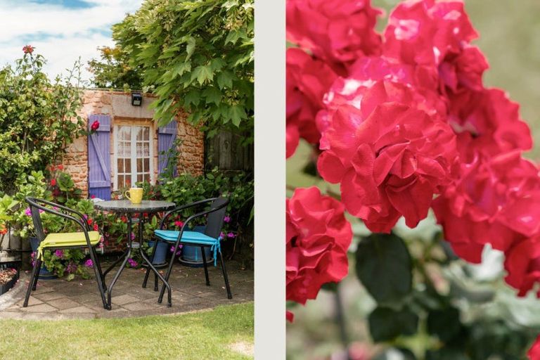 Photo of property in 53 Jasmine Place, Mount Maunganui, 3116