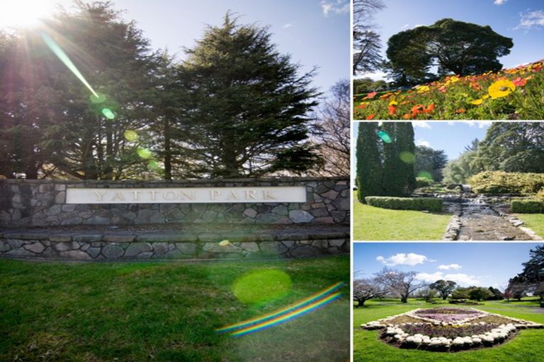 Photo of property in 453 Fraser Street, Parkvale, Tauranga, 3112