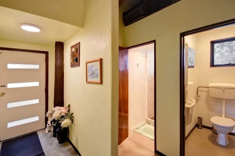 Photo of property in 19 Tower Avenue, Waverley, Dunedin, 9013