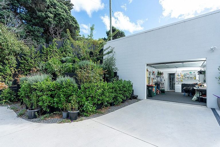 Photo of property in 58 Ames Street, Paekakariki, 5034