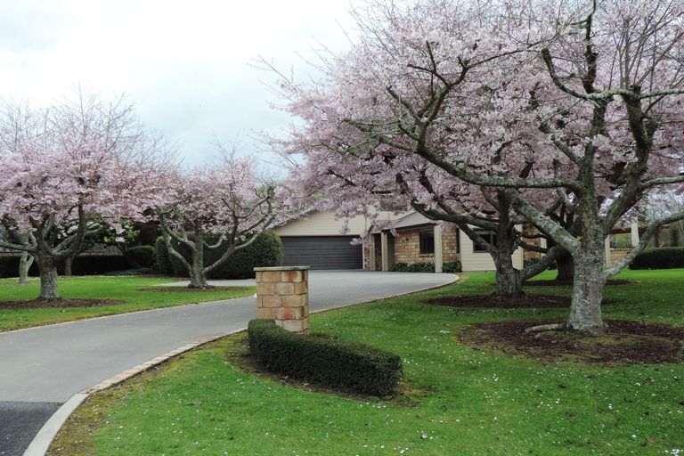 Photo of property in 14 James Avenue, Matamata, 3472