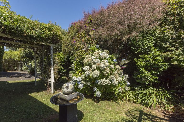 Photo of property in 56 Grange Road, Otumoetai, Tauranga, 3110