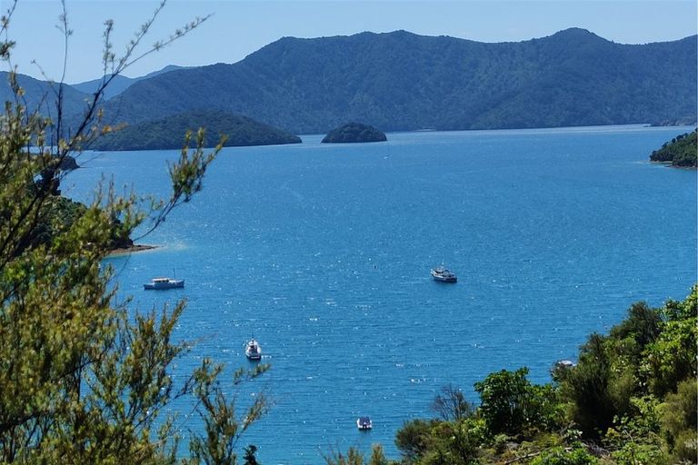 Photo of property in 619 Port Underwood Road, Whatamango Bay, Picton, 7281