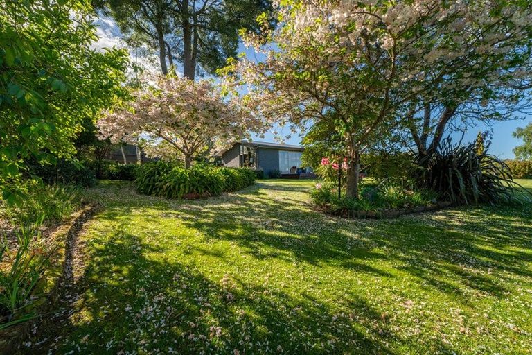 Photo of property in 159 Downs Road, Geraldine Downs, Geraldine, 7991