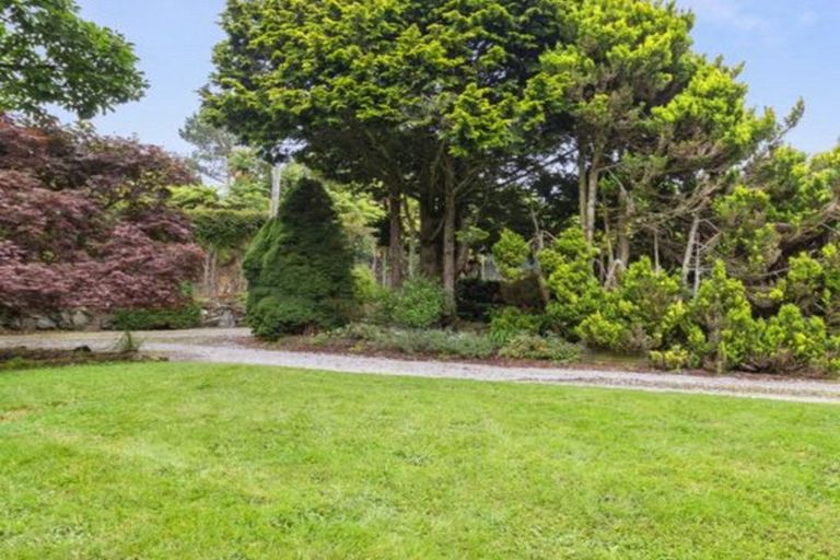 Photo of property in 488 Tapuwae Road, Maniaiti / Benneydale, Te Kuiti, 3987