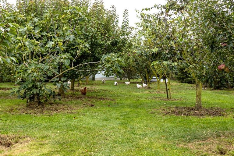 Photo of property in 408 Fraser Road, Rosewill, Timaru, 7975