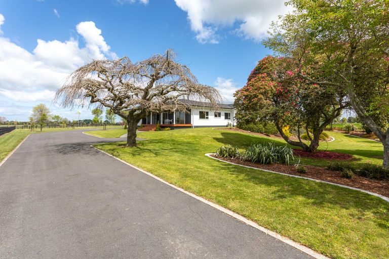 Photo of property in 173 Station Road, Matamata, 3472