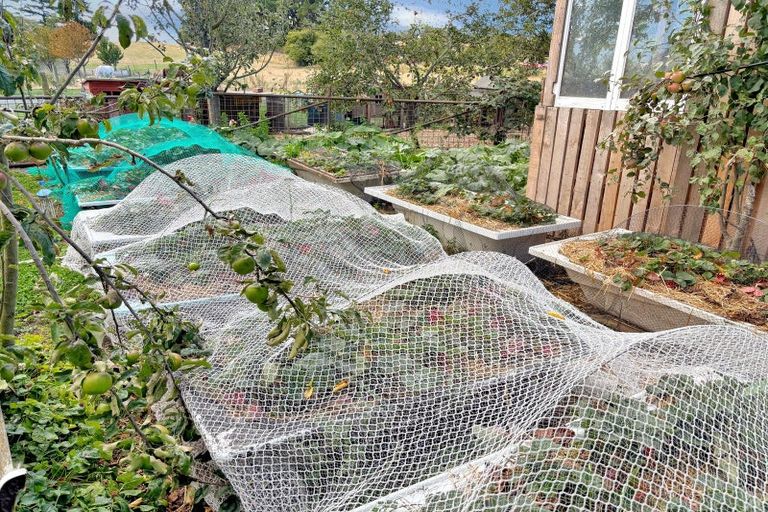 Photo of property in 24 Thousand Acre Road, Alma, Oamaru, 9492