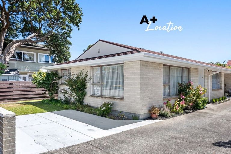 Photo of property in 19 Bloomfield Terrace, Hutt Central, Lower Hutt, 5010