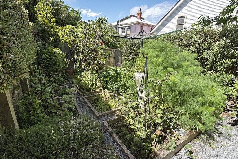 Photo of property in 22 Charlotte Avenue, Brooklyn, Wellington, 6021