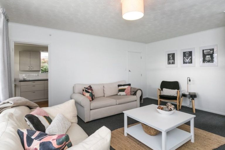 Photo of property in 3 Elliott Crescent, Havelock North, 4130