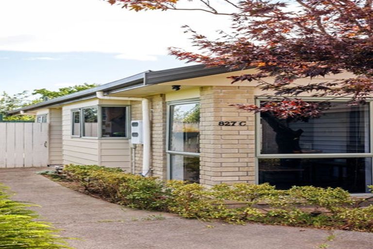Photo of property in 827c Heaphy Terrace, Claudelands, Hamilton, 3214