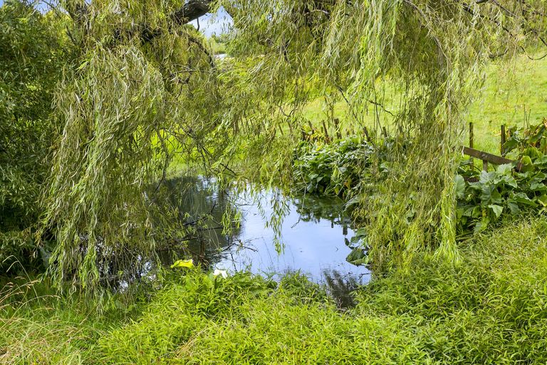 Photo of property in 95 Centennial Avenue, Te Aroha, 3320