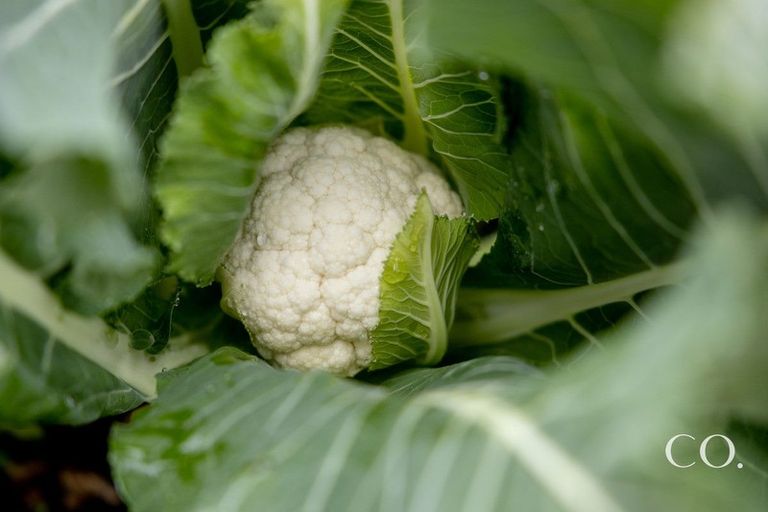 Photo of property in 2a Tom Muir Drive, Gate Pa, Tauranga, 3112