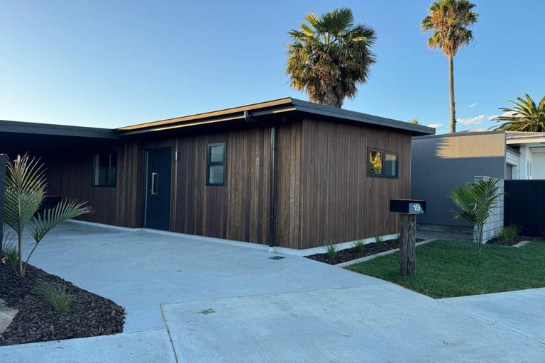 Photo of property in 19 Herrick Street, Marewa, Napier, 4110