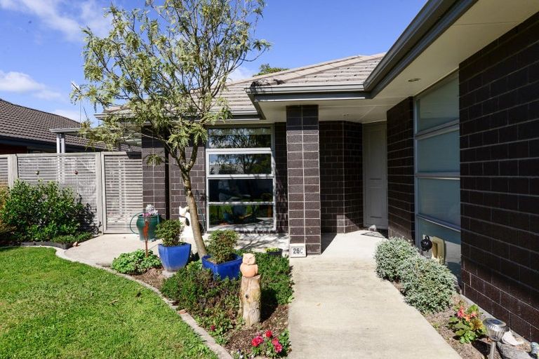 Photo of property in 26c Macfarlane Street, Hamilton East, Hamilton, 3216