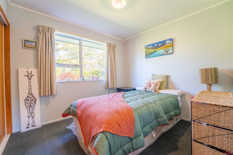 Photo of property in 45a Mckenzie Street, Geraldine, 7930