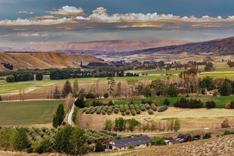 Photo of property in 58 Thomsons Gorge Road, Tarras, Cromwell, 9383