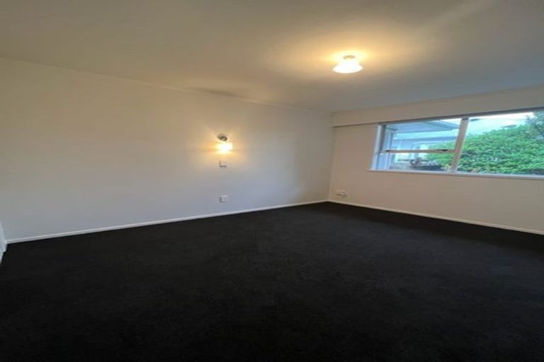 Photo of property in 8a Copeland Street, Hutt Central, Lower Hutt, 5011