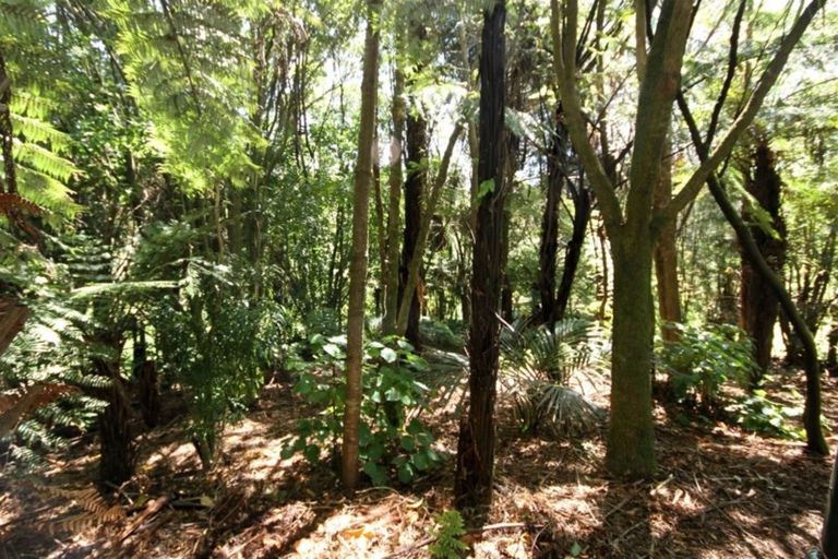 Photo of property in 11b Hobson Street, Waihi, 3610