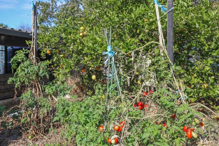 Photo of property in 689 Glen Murray Road, Rangiriri, Huntly, 3772