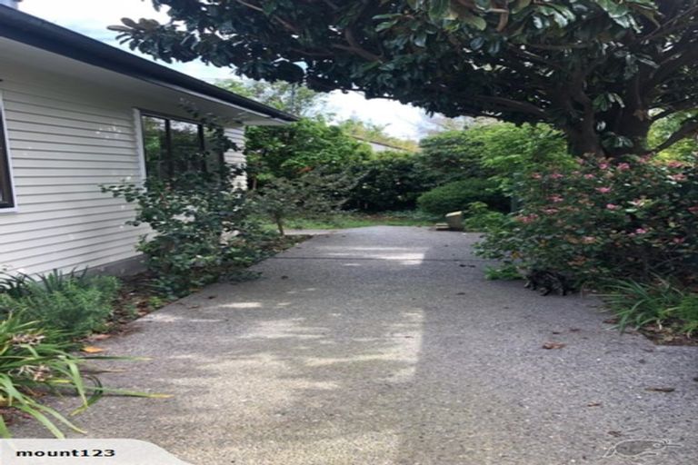 Photo of property in 45 Hanrahan Street, Upper Riccarton, Christchurch, 8041